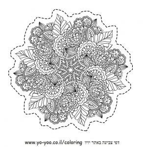 �� ����� ����� ������