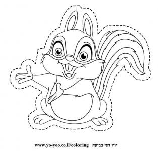 �� ����� �����