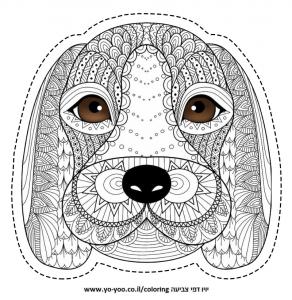 �� ����� ����� ���