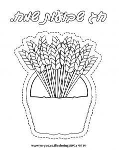 �� ����� �� ������ ���